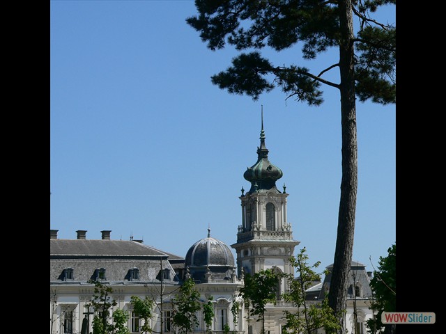 P1010494