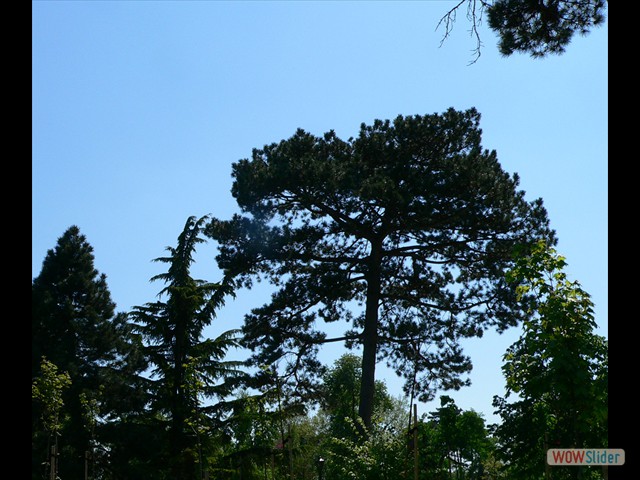 P1010497