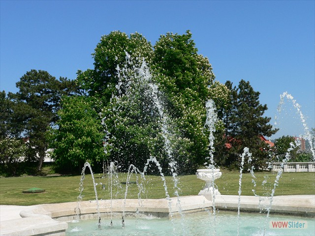 P1010521