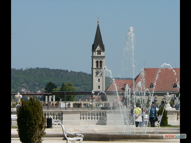 P1010536