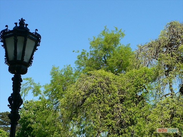 P1010540