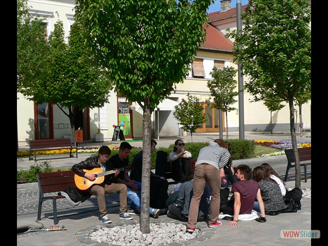 P1010645