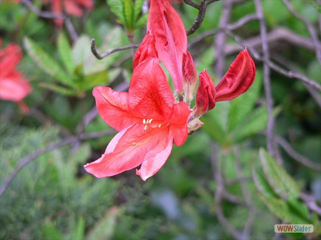 P1020276