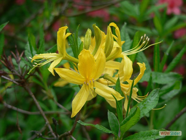 P1020281