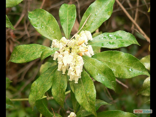 P1020315