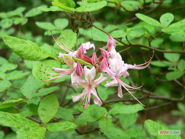 P1020316