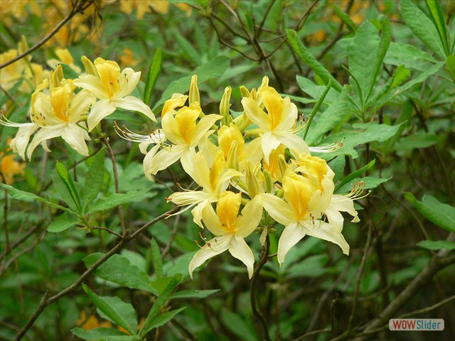 P1020332