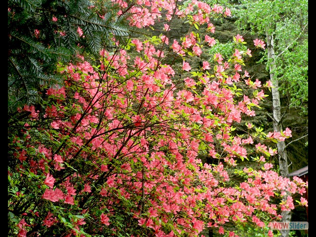 P1020430