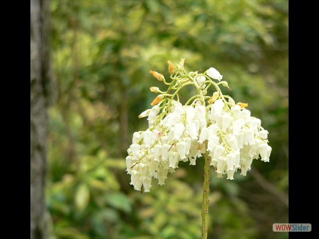 P1020473