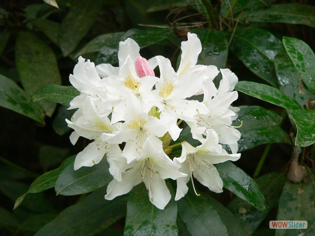 P1020500
