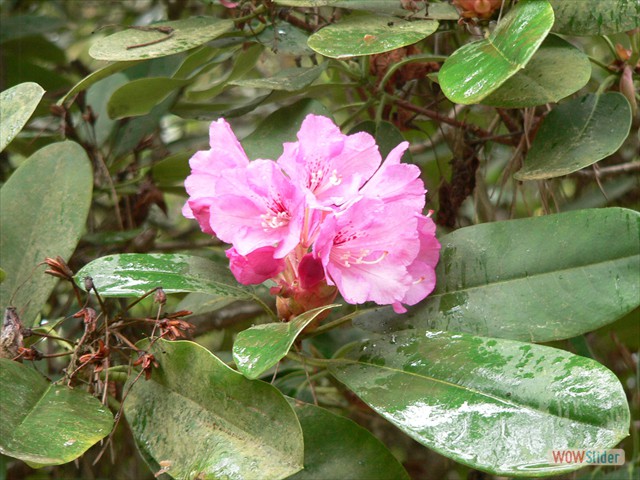 P1020577