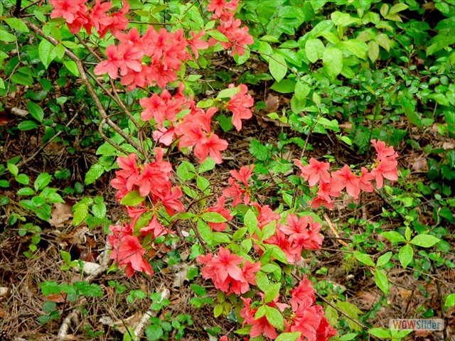 P1020582